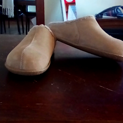 Brookstone Mules